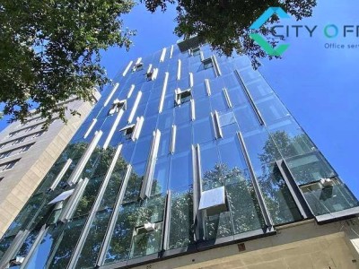 The NEXX Building - Đường Phạm Ngọc Thạch - Phường Xuân Hòa